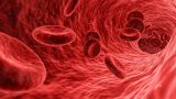 Hematology Lectures