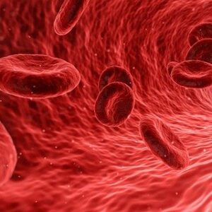 Hematology Lectures