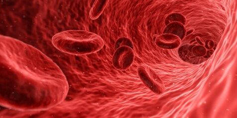 Hematology Lectures